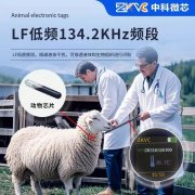 RFID：为每头牲畜成立“聪慧身份”改革畜牧业办